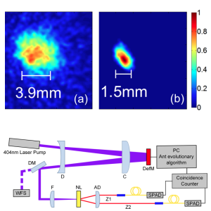 Optimization of Two-Photon Wavefunction in Parametric Down Conversion by Adaptive Optics Control of the Pump Radiation